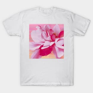 Fuchsia Petals Floral T-Shirt